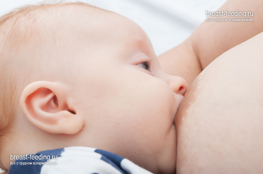 rules-breastfeeding
